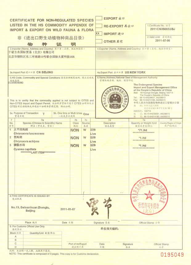 代理商品:经销商和代理商的区别!